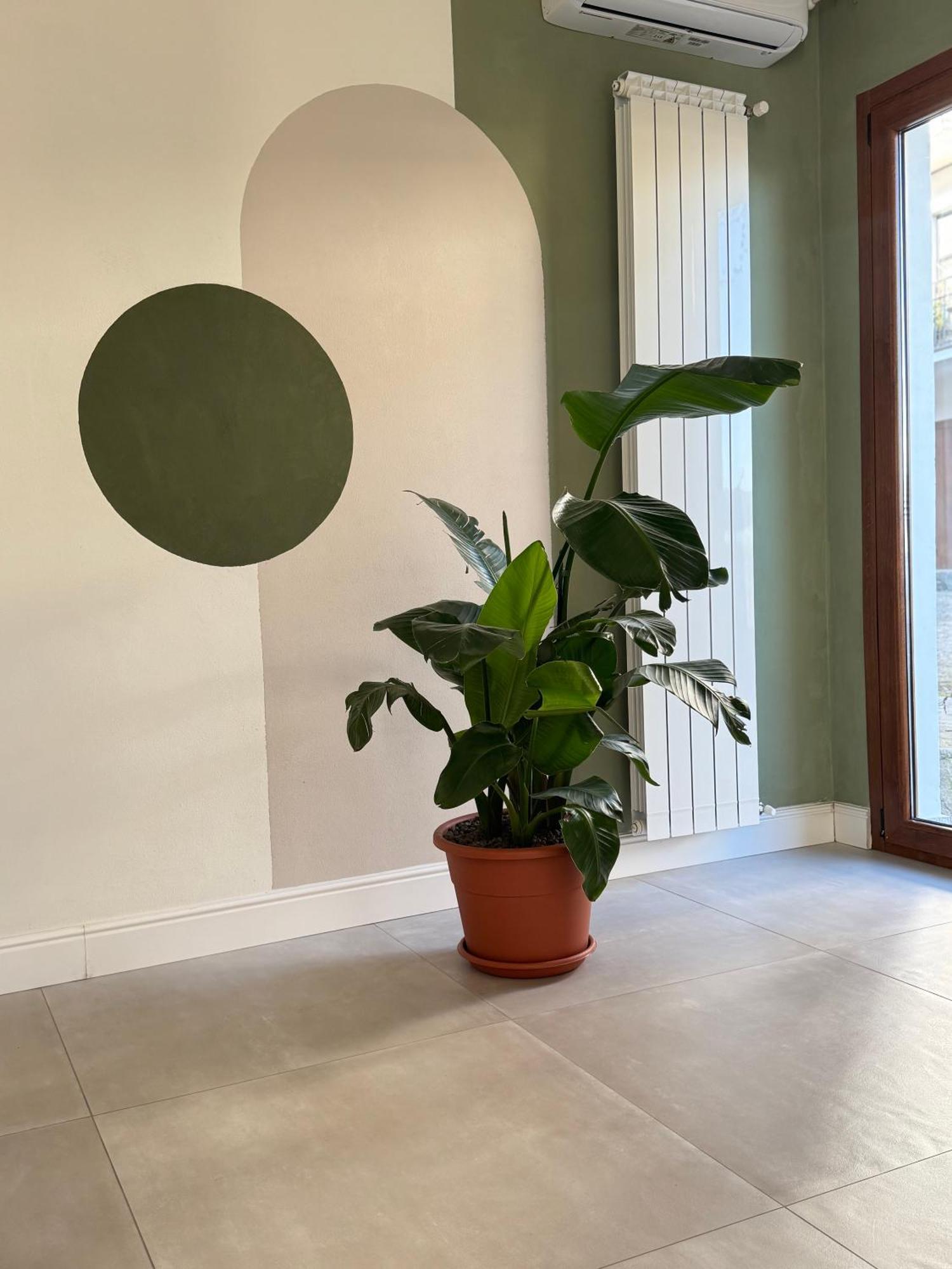 Il Cortile Del Borgo Villa Borgo Ticino Exteriör bild